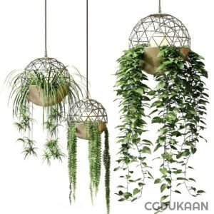 Three hanging geometric planters with a variety of green hanging plants cascading down.