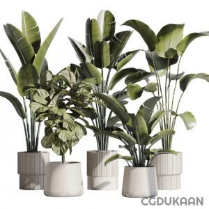 3d model of A quartet of plants in white pots, adding a touch of elegance and freshness to any space.