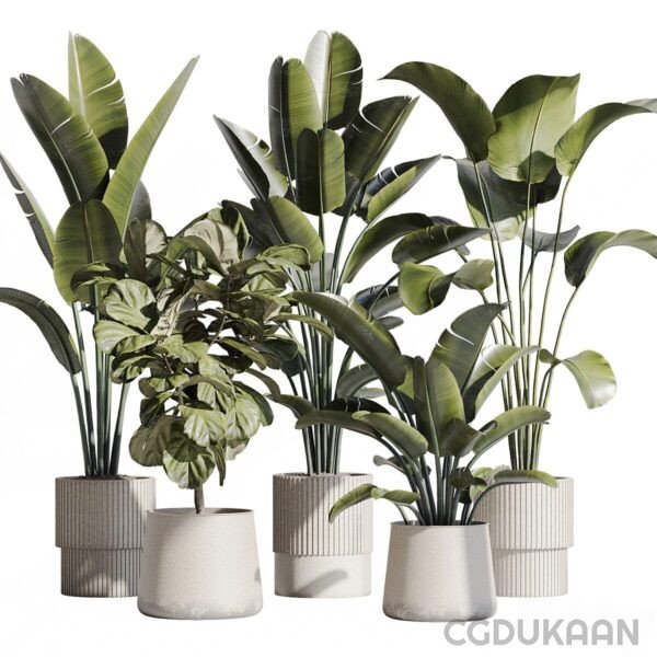 3d model of A quartet of plants in white pots, adding a touch of elegance and freshness to any space.