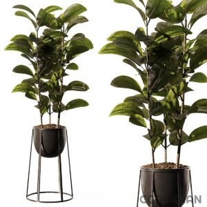 Two potted plants with metal stands, adding a touch of greenery to the room decor.