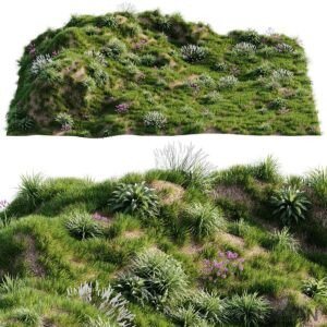 Lush green hill with colorful flowers and tall grass.