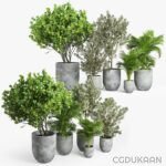 Three-dimensional plants arranged in modern concrete pots, showcasing a blend of nature and contemporary design.